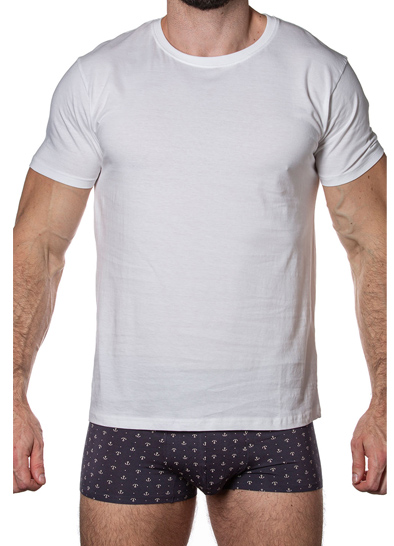Мужская футболка SERGIO DALLINI T750-1 