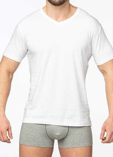 Мужская футболка SERGIO DALLINI T751-1 