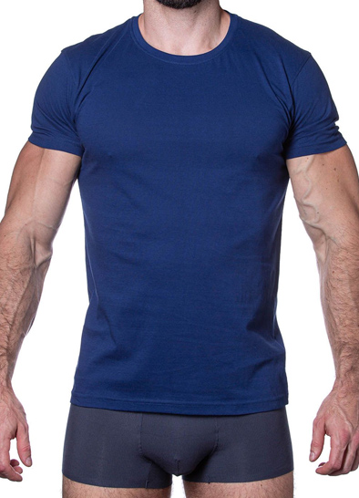 Мужская футболка SERGIO DALLINI T750-4 